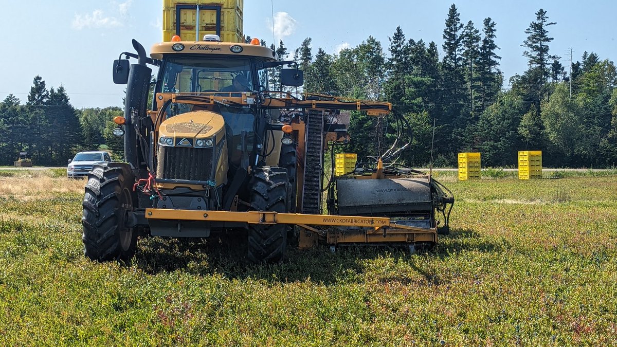 ApaService's tweet photo. Harvesting Wild Blueberries🫐 with @Vantage_Canada and @Trimble_Ag . Increasing efficiency with Trimble Autopilot. https://t.co/gDjQHjhf7j