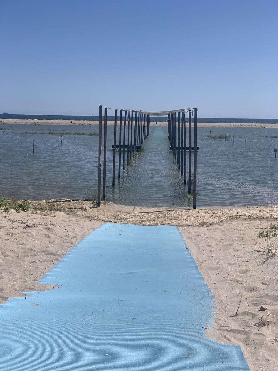 Life is perfect today. Scheduling all complete and celebrating with <a href="/BreneBrown/">Brené Brown</a>, the beach all to myself, and a lovely beverage. Cheers to seeing my littles on Tuesday! 🌈☀️🧡 #principal #selfcare
