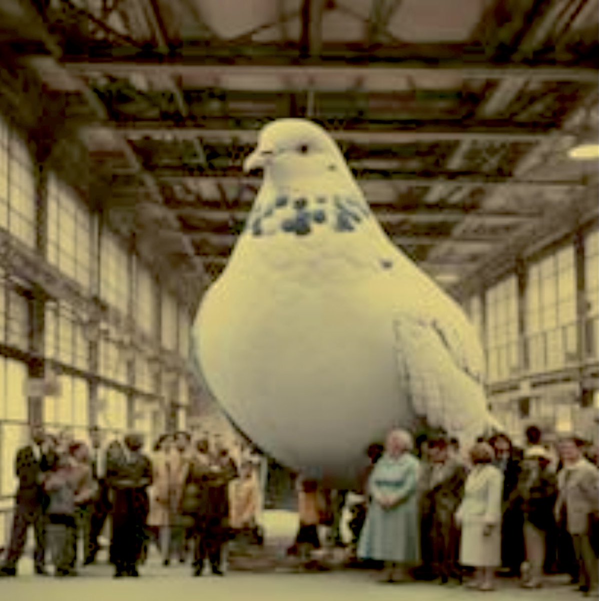 13thParish tweet media