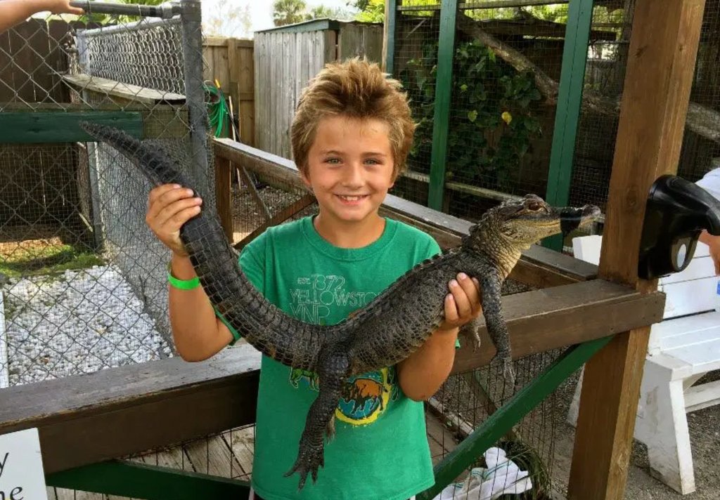 Crazy Family Adventure tweet media