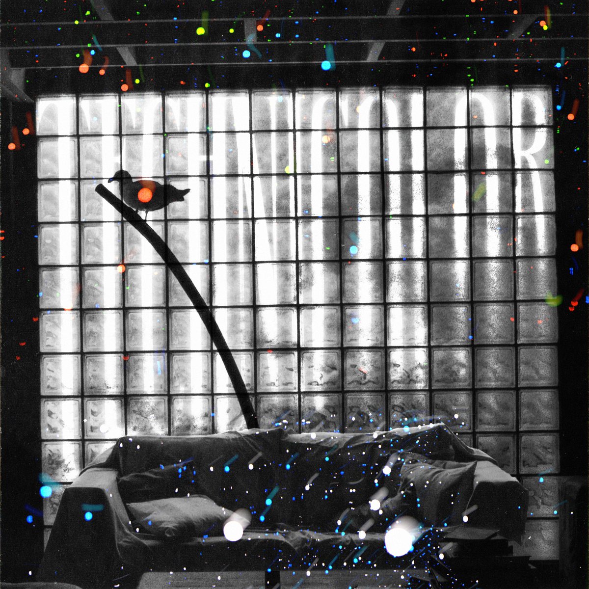 TechnicolorB's tweet photo. VOLVIMOS CON NUEVO EP:
TECHNICOLOR
1 Identidad Aviar
2 El Habito En Oriente
3 Debate Familiar
DISPONIBLE EN TODAS LAS PLATAFORMAS

https://t.co/npecCstB5h https://t.co/1063z06xam