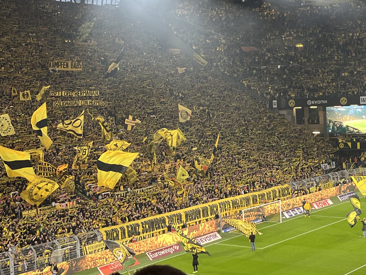 „Solidaridad con Hermoso“ #bvbfch