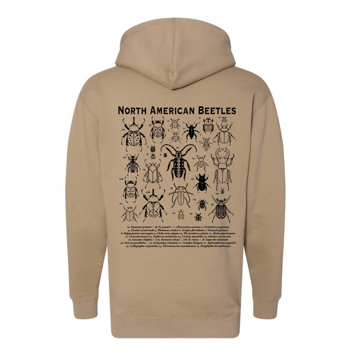 fossilforager's tweet photo. 🪲 BEETLE HOODIES ARE AVAILABLE NOW FOR PREORDER! 🪲 available in sizes S-3XL! 🔗 below! (RTs mega appreciated to get the word out 💖) https://t.co/WYzatfe7LA