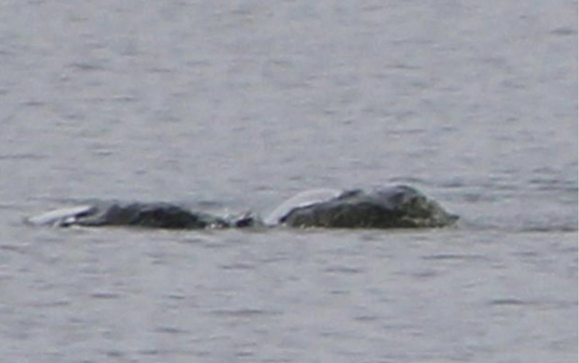 Jon Cooper 🇺🇸 tweet media