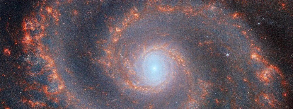 innovationnhub's tweet photo. James Webb Space Telescope snaps stunning view of supernova's expanding remains. #jameswebb #space #tech #technologynews #technology https://t.co/kFaZPSn6La