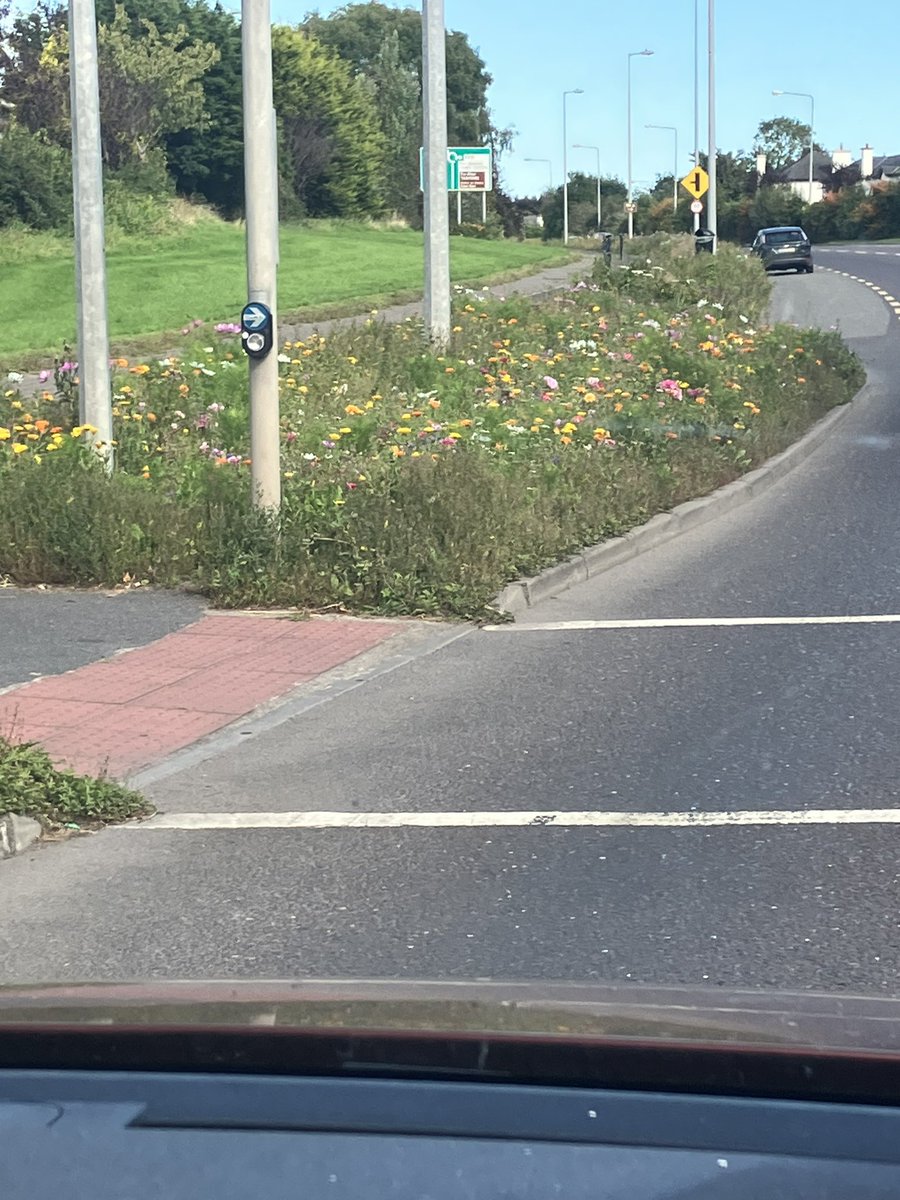 The wildflowers on the grass verges in Dungarvan look fantastic & good for the bees 🐝 @WaterfordCounci #Wildflowers I’d love to recreate this in my garden. Is it possible? Is it hard to achieve? Needs to be low maintenance.