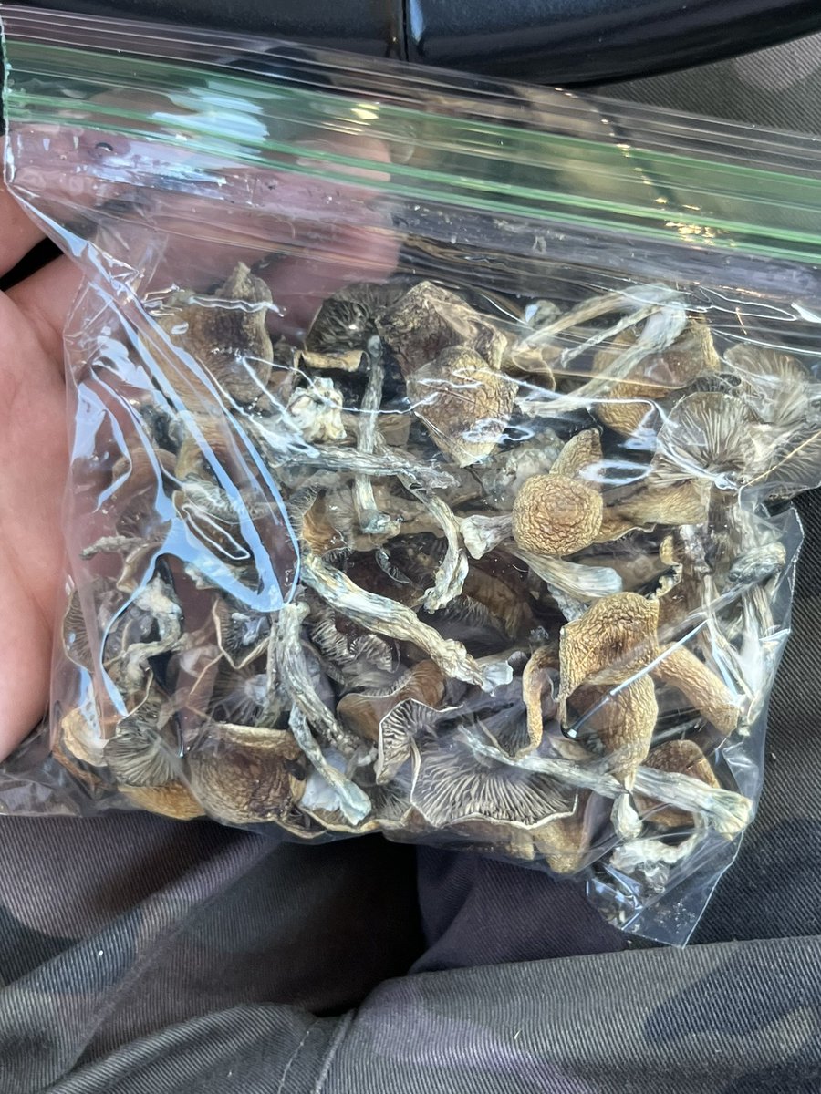 femcy ꒰ა ♡ ໒꒱ tweet media