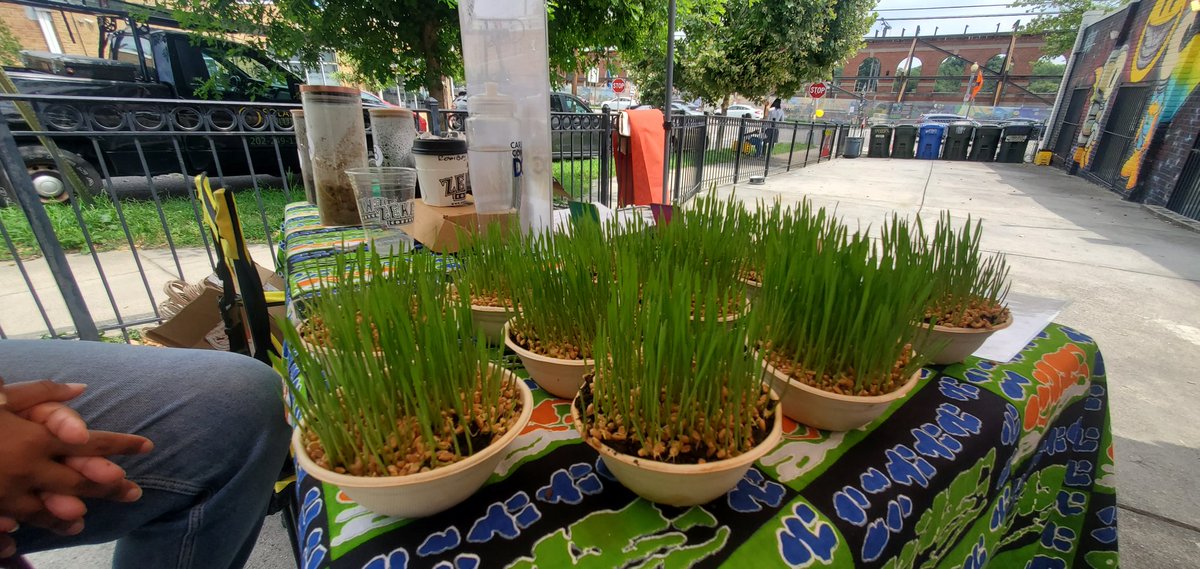 Super Excited to have @Sistained8 (IG) join us again with Compost Education and Garden Sustainability Products at The Record Deal Vinyl and Vintage Marketplace tomorrow Sept 2nd @ 15th Street Graffiti Museum! Shout out to Najwa Womack!

Info/RSVP eventbrite.com/e/the-record-d…