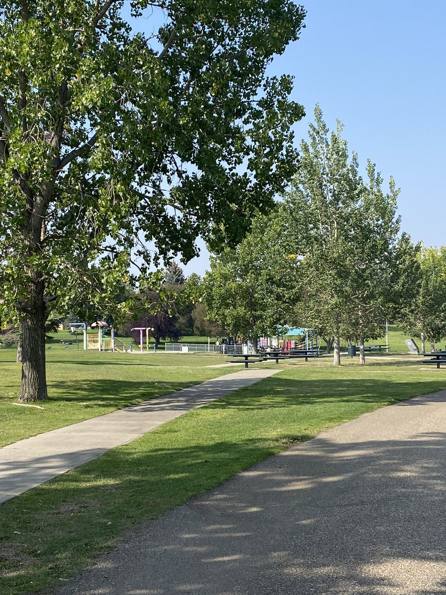 John Petrie tweet media