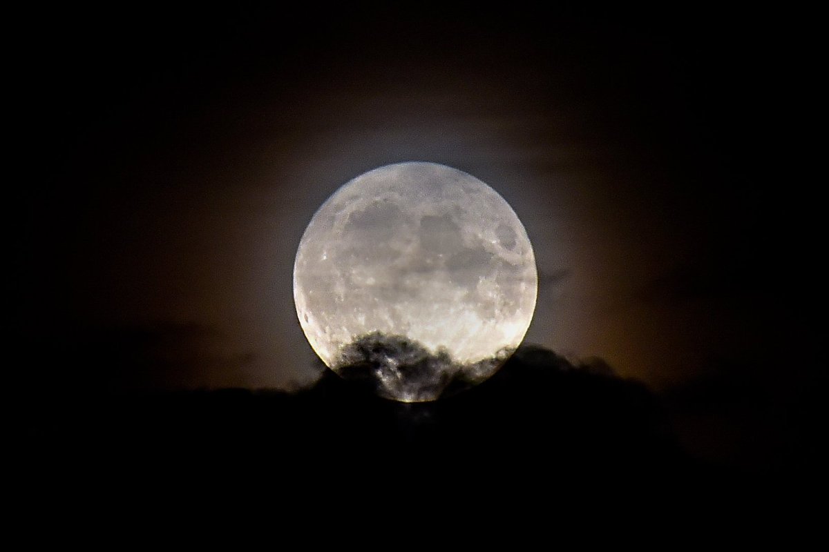 This week's 'Super Blue Moon' 

#Astrophotography #SuperBlueMoon #Moon #lunar #BlueMoon #nikon