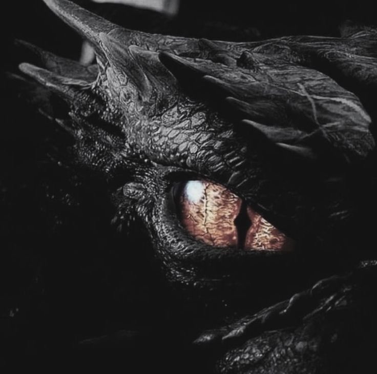 ఌ𝓢𝓪𝓻𝓪𝓱ఌ tweet media