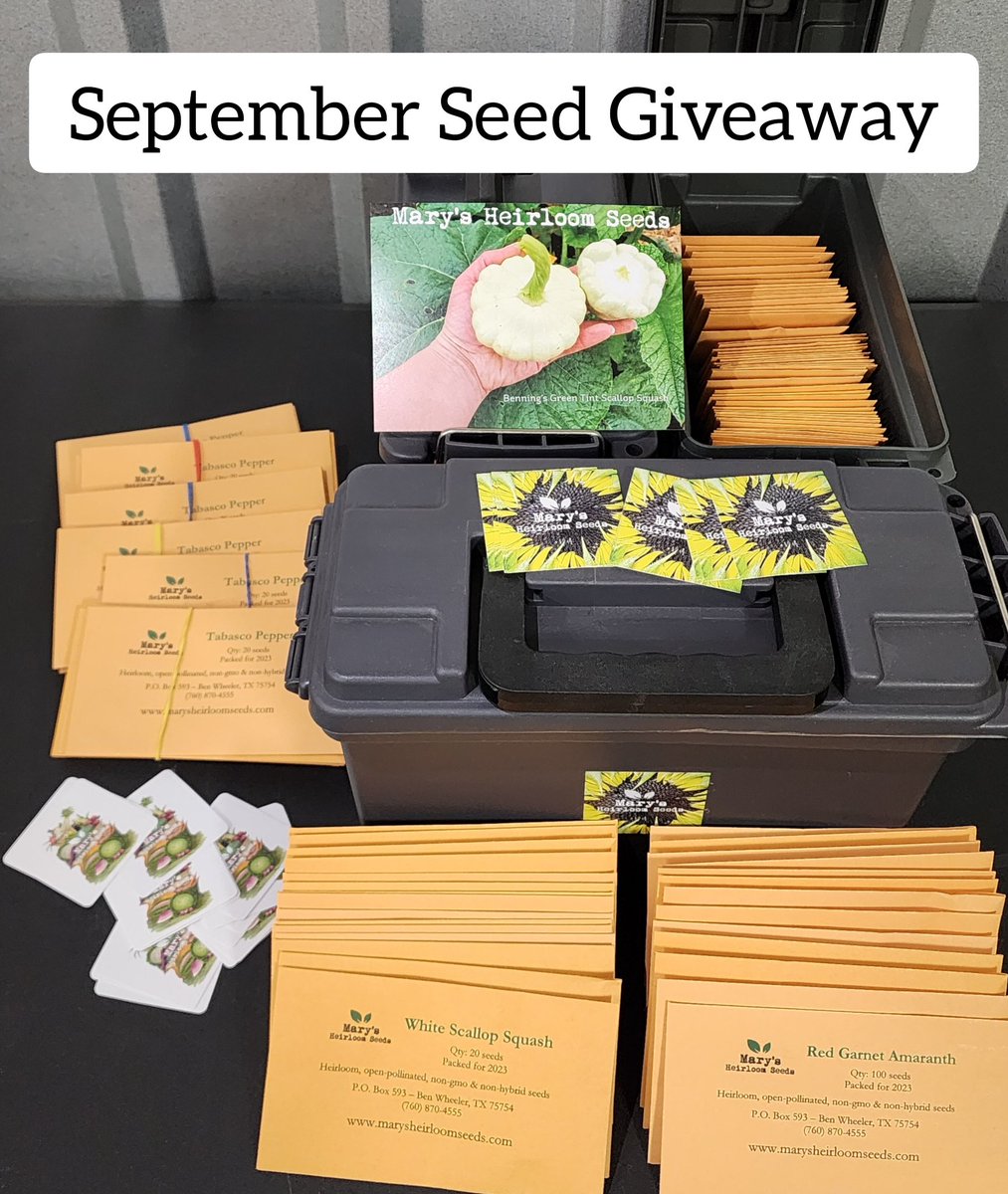 marysheirlooms's tweet photo. SEPTEMBER 2023 MARY'S HEIRLOOM SEEDS GIVEAWAY!
https://t.co/ZPjjGBinqQ

#seeds #heirloomseeds #gardening #giveaway #homesteadlife https://t.co/s2mTiamrjJ