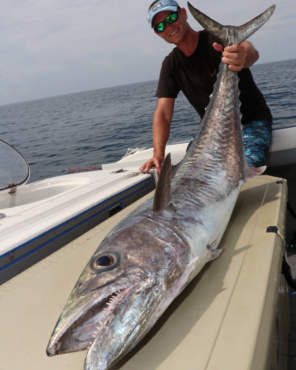 CaptJimmyNelson's tweet image. Got this little guy with @FishinwithLuiza out of the @PlantationOnCR 
@RealSaltLife @GrizzlyCoolers @dekitco #fishing #kingfish #kingmackerel #livinthedream #saltwaterfishing #offshorefishing #saltlife #dekit #mackerel #bigfish #floridafishing #fishingwithluiza #captjimmynelson