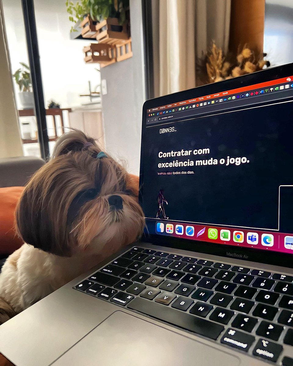 sejadonnes's tweet photo. Ainda está insistindo com essas consultorias tradicionais? Não perca mais seu tempo e o de sua equipe, agende uma conversar com um Donner e tenha a experiência de um recrutamento ágil e assertivo.

#hrtech #recrutamento #rh #inovação #pets https://t.co/nMhOxYEThf