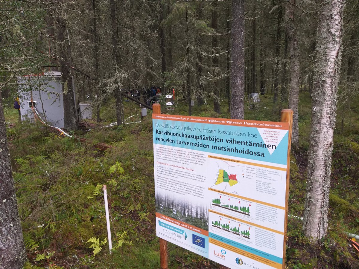 Raisa Mäkipää tweet media