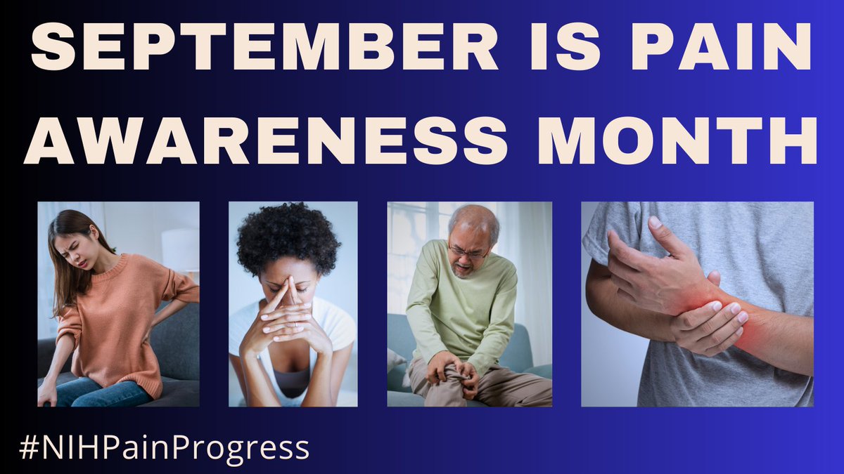 NIH Pain Research (@nihpainresearch) on Twitter photo Follow us <a href="/NIHPainResearch/">NIH Pain Research</a> throughout this #PainAwarenessMonth for information and updates from the #NIH pain research community.
Visit painconsortium.nih.gov to learn more.
#NIHPainProgress Follow us <a href="/NIHPainResearch/">NIH Pain Research</a> throughout this #PainAwarenessMonth for information and updates from the #NIH pain research community.
Visit painconsortium.nih.gov to learn more.
#NIHPainProgress