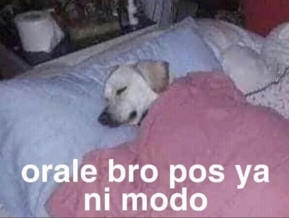 foo_chacha's tweet image. 