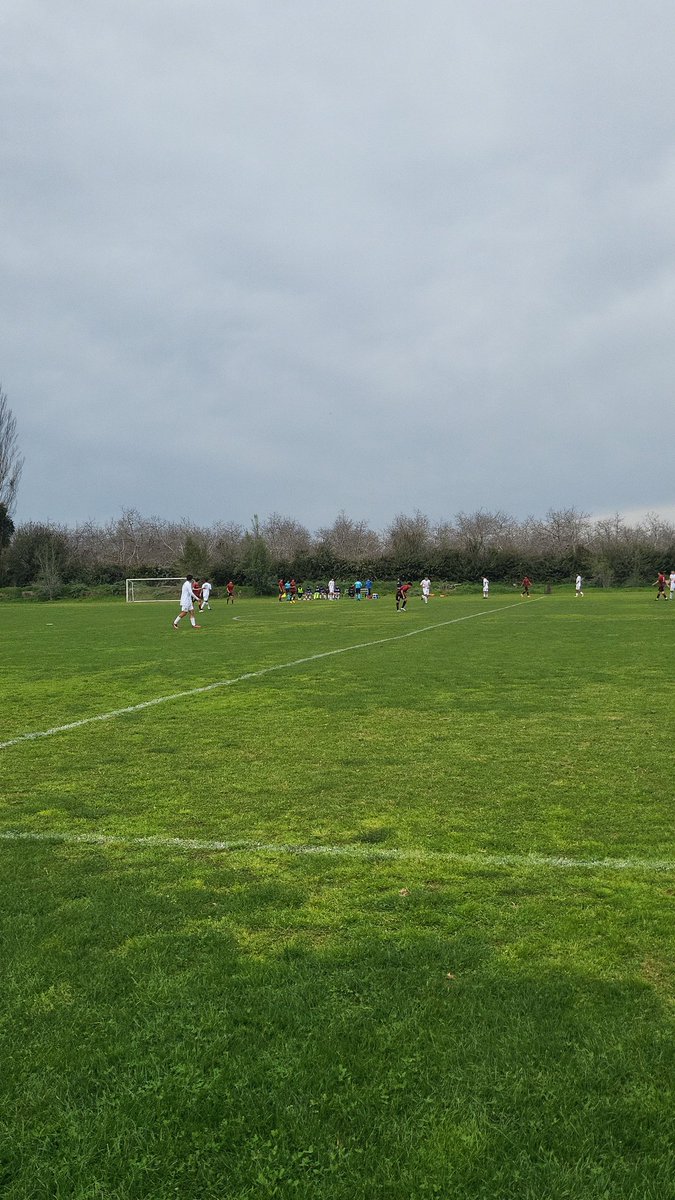 nicolas peric tweet media