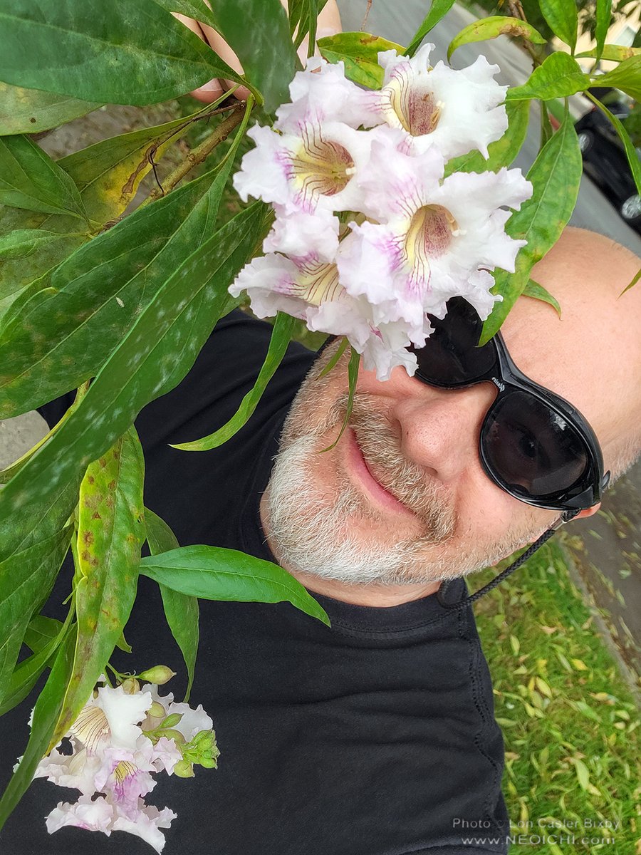 Happy Friday y'all 🙂

#justme #selfie #selfies #photographer #writer #author #blueeyes #bald #growingoldgracefully #growingolder #goatee #neoichi #happyfriday #sunglasses #flowers #morningwalk

carvedinstone.media