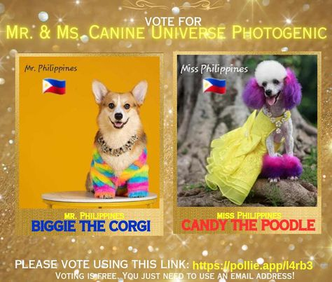 tsm387's tweet photo. "Please vote for Biggie the Corgi (Mister Canine Philippines) and Candy the Poodle (Miss Canine Philippines) in  the Mister &amp; Miss Universe Canine 2023 Photogenic Competition by clicking on this link https://t.co/WxlV0Ugold, then please retweet!  Thank you! #doglovers #canine https://t.co/Z4E6BZvNRr