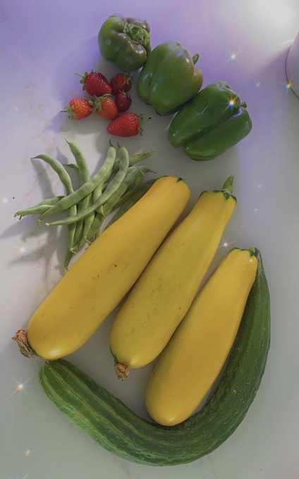 Todays harvest is particularly abundant ❤️ https://t.co/HFnYWCOC4C