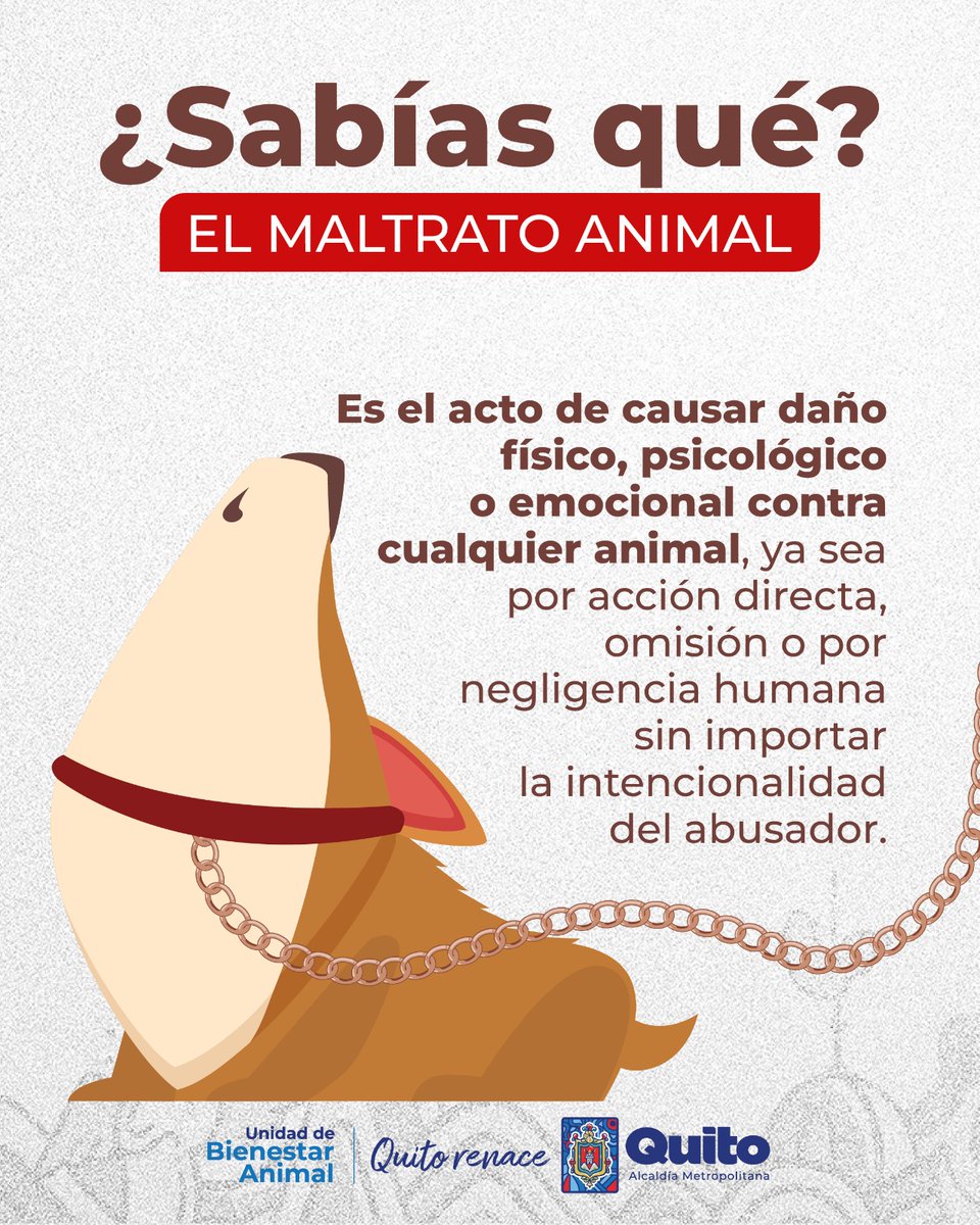 UBAQuito's tweet photo. Si eres testigo de maltrato animal #DenunciaEnUBA

Ingresa al  siguiente link ➡️ https://t.co/p0pq4nh0zq para presentar tus denuncias en la UBA.

La @amcquito es la entidad encargada de los procesos administrativos sancionadores.

Con conciencia ciudadana #QuitoRenace https://t.co/uOlZ1tDK6N