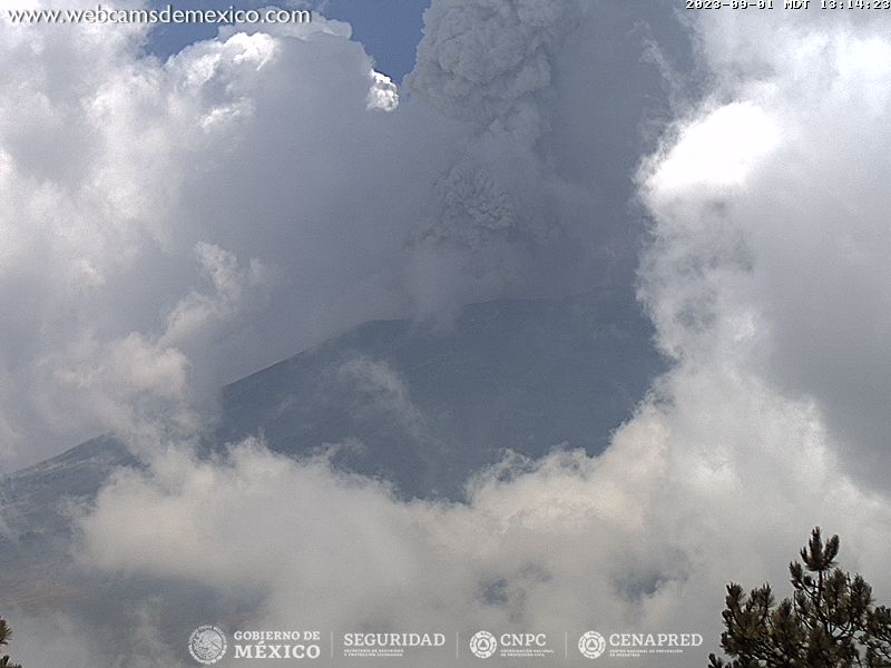 Popocatepetl_MX's tweet photo. 👀 https://t.co/wLKG7EyvBM