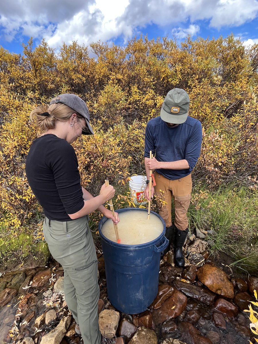 Sean Carey (@mac_watershed) on Twitter photo Thanks to Fabrice Calmels and the Permafrost & Geoscience Research Team <a href="/YukonUresearch/">YukonU Research</a> for the ERT survey at one of our <a href="/TombstoneWaters/">Tombstone Waters Observatory</a> sites. Will find out if @AndrasSzeitz ideas 'light up' beneath the stream. Thanks to Fabrice Calmels and the Permafrost & Geoscience Research Team <a href="/YukonUresearch/">YukonU Research</a> for the ERT survey at one of our <a href="/TombstoneWaters/">Tombstone Waters Observatory</a> sites. Will find out if @AndrasSzeitz ideas 'light up' beneath the stream.