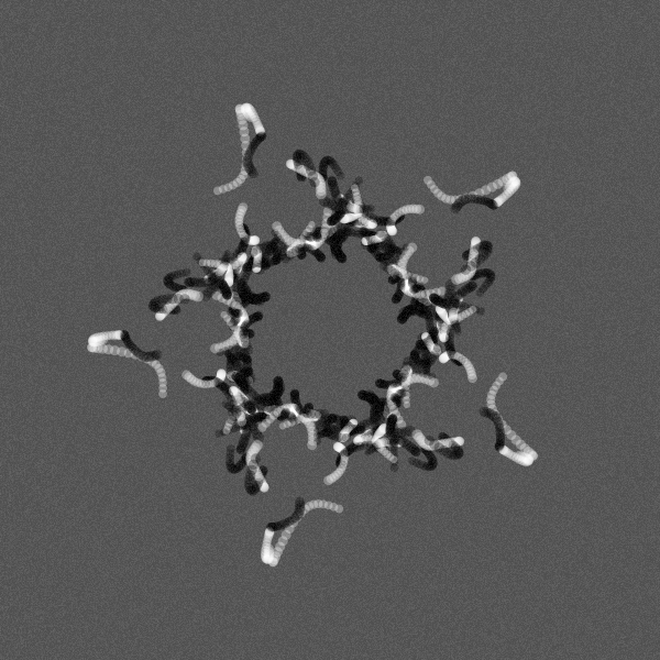 SidChou's tweet photo. The Star Experiment   https://t.co/HlsSvFR8wX

#generativeart #digitalart #processing #p5 #p5js #processing #graphic #visualdesign #programming #artofmath #mediaart #pattern #style #texture #star #symmetry #opensea #NFTs https://t.co/Rtf3qWNF9l