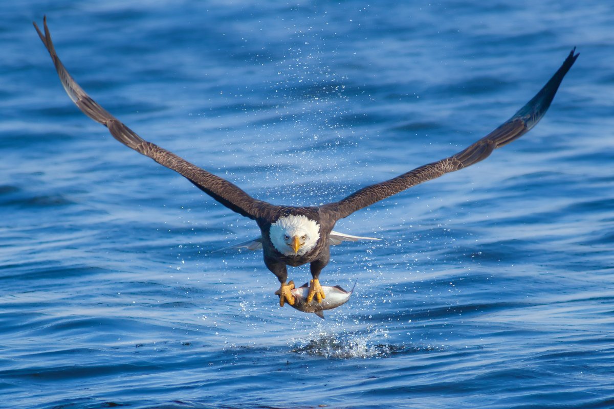 Don't fall prey to market distractions.
<a href="/PaulMoorePMCap/">Paul Moore</a> discusses:
- Our view on markets - where investors should focus;
- Key stock positions &amp; themes in the portfolio;
- News on our 25th anniversary &amp; looking to the next 25 years.
pmcapital.com.au/insight/dont-f…

#investdifferently