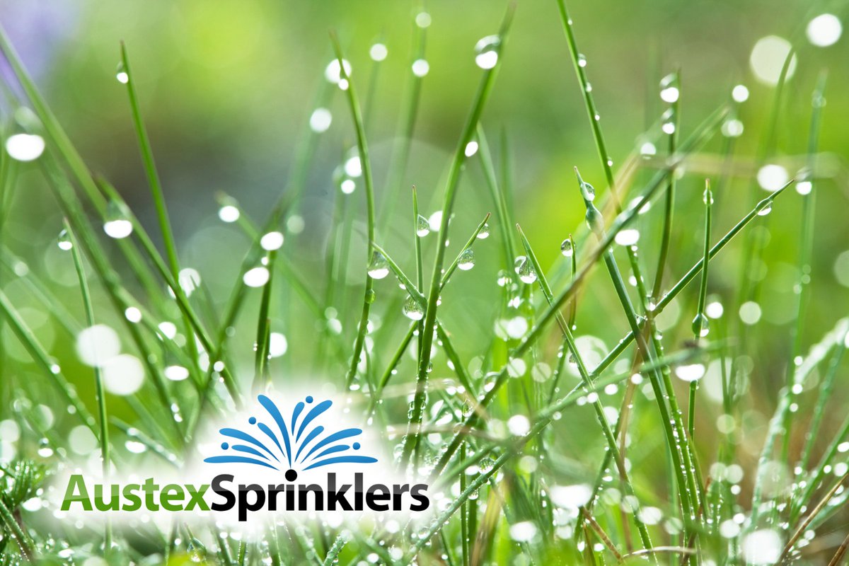 Sprinkler tip of the day: Your grass prefers a gentle morning mist over a midday sunburn. Our sprinkler experts can set up the perfect spa schedule for your lawn! ☀️🕒 #LawnLove #MorningDewMagic #SmartSprinklers