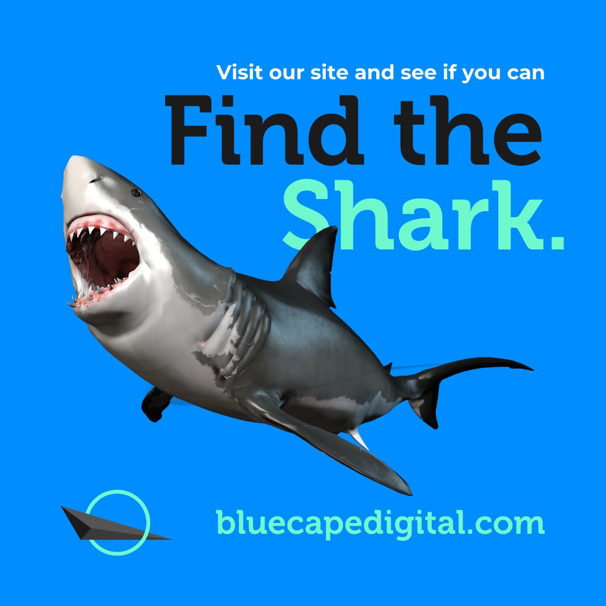bluecapedigital's tweet photo. New website, same passion! Link in bio. π π» π± π¦
#WebDesign #ResponsiveDesign #WebDevelopment #DigitalMarketing #SocialMediaMarketing #SEO #OnlineAdvertising #SmallBusiness #Entrepreneur #SmallBiz #Austin #ATX #KeepAustinWeird #AustinTexas #BlueCapeDigital #BlueCapeStories https://t.co/5DJX0xqxHo