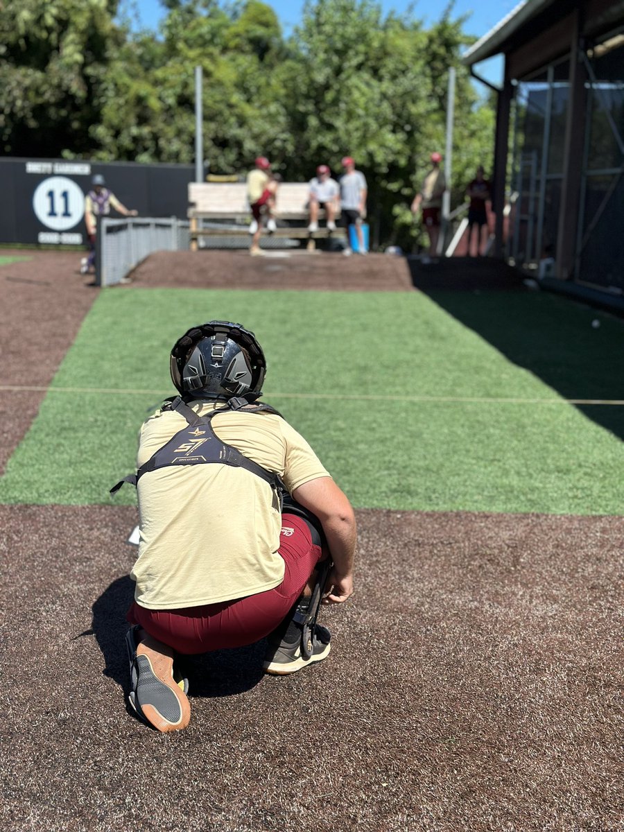 CofCBaseball's tweet photo. Temps cooling down, arms heating up 📈

#TheCollege🌴⚾️ https://t.co/vxh15YZKT4