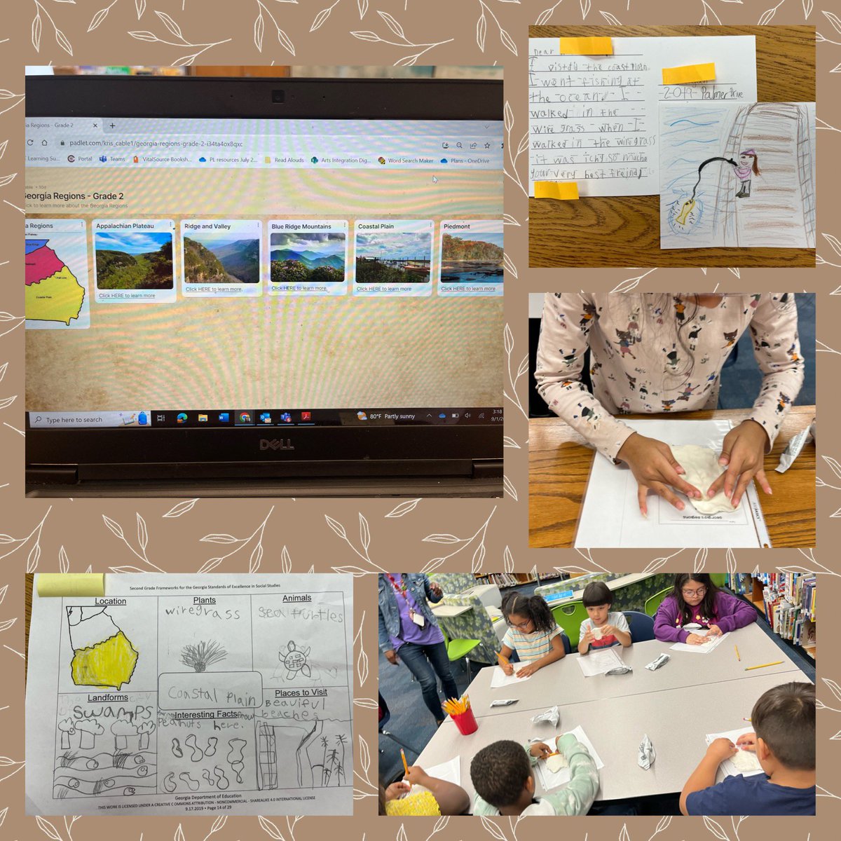 Nancy palmer tweet media