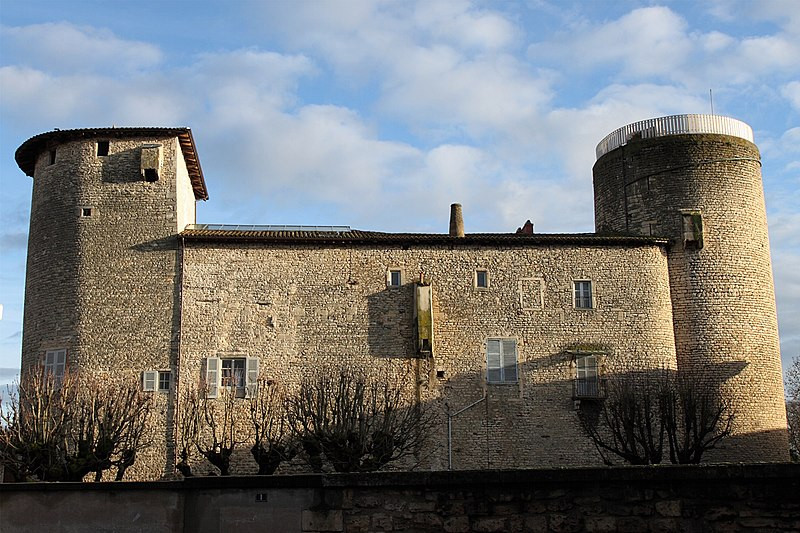 MonumentumFr's tweet image. Château à #Anse (#Rhône) Construction 1er quart XIIIe siècle. Château (cad. C 455) : classement par arrêté du 9 mars 1987.
Suite 👉 monumentum.fr/monument-histo…
#Patrimoine #MonumentHistorique