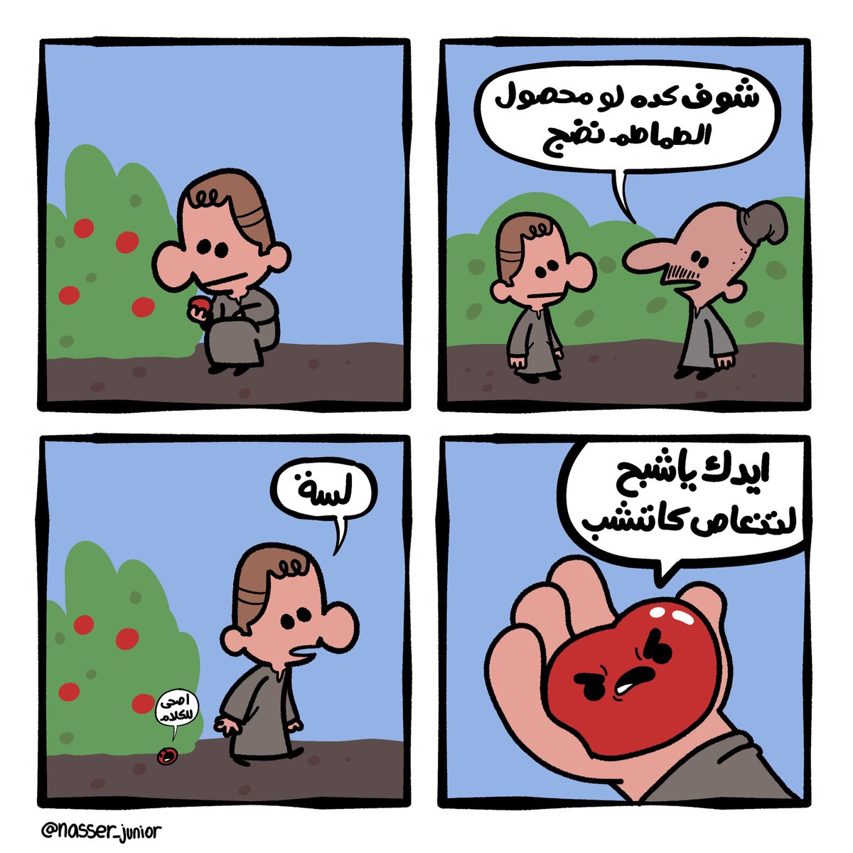 🍅 