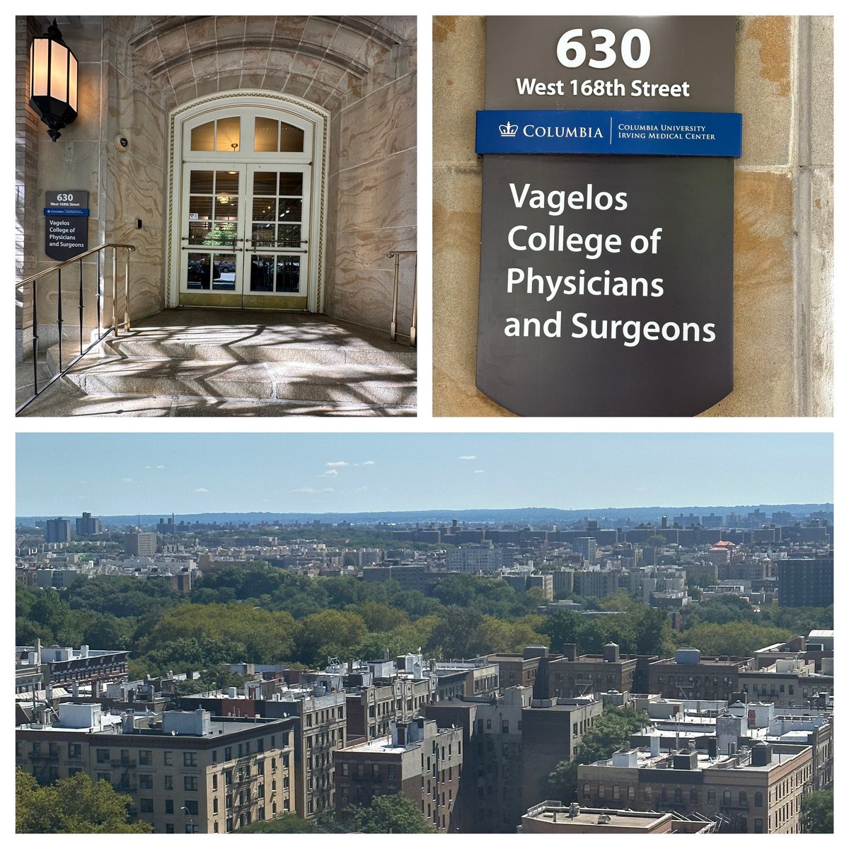 Alireza Salem tweet media