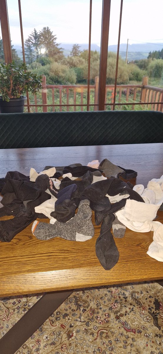 The biannual sock cull has now taken place. Unfortunately, the odds were not in their favour!
