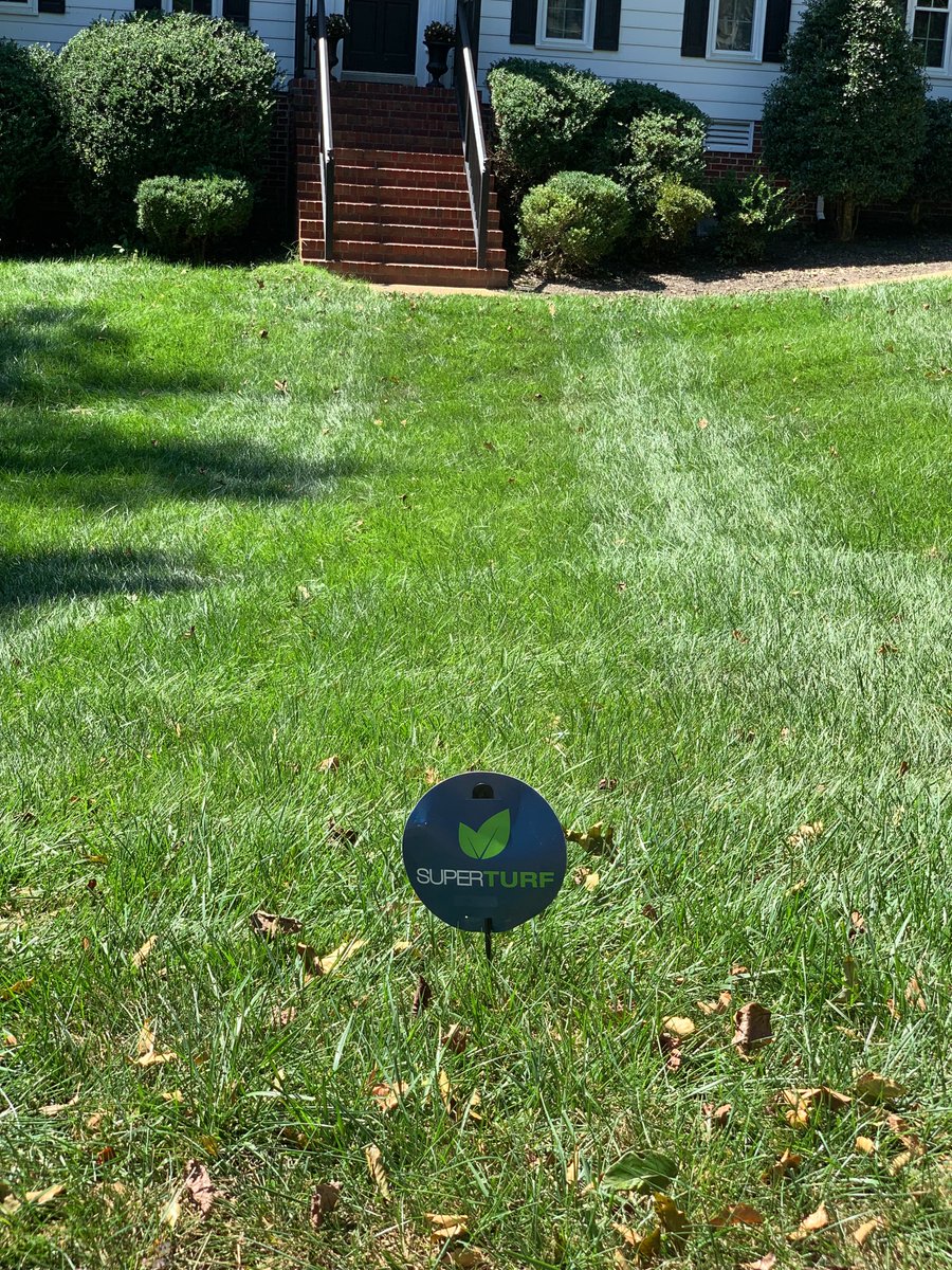 Bye-bye weeds, hello green! Almost time for the lawn's annual makeover.