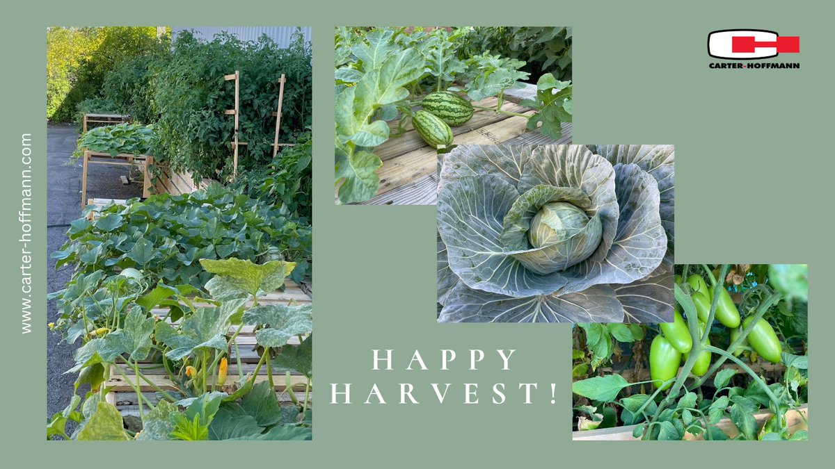 Carter-Hoffmann tweet media