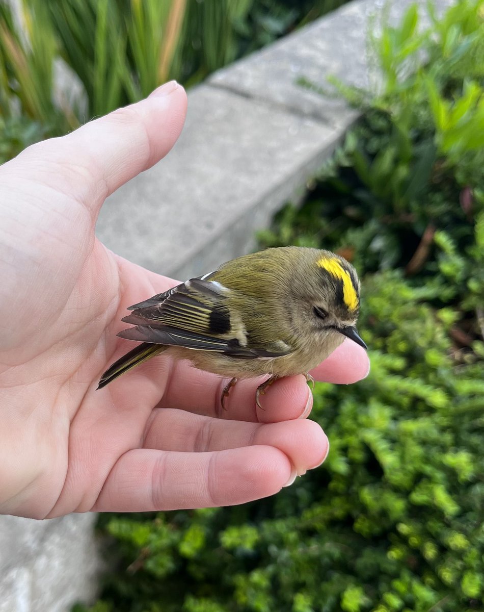 Sharkbaitpaints tweet media