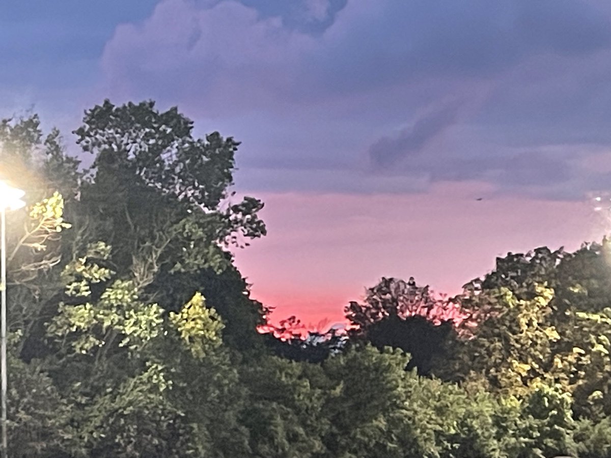 Leonie Cooper AM tweet media