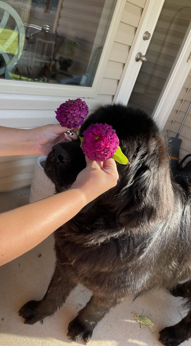 tori_viator's tweet image. Like mother, Like son 💕