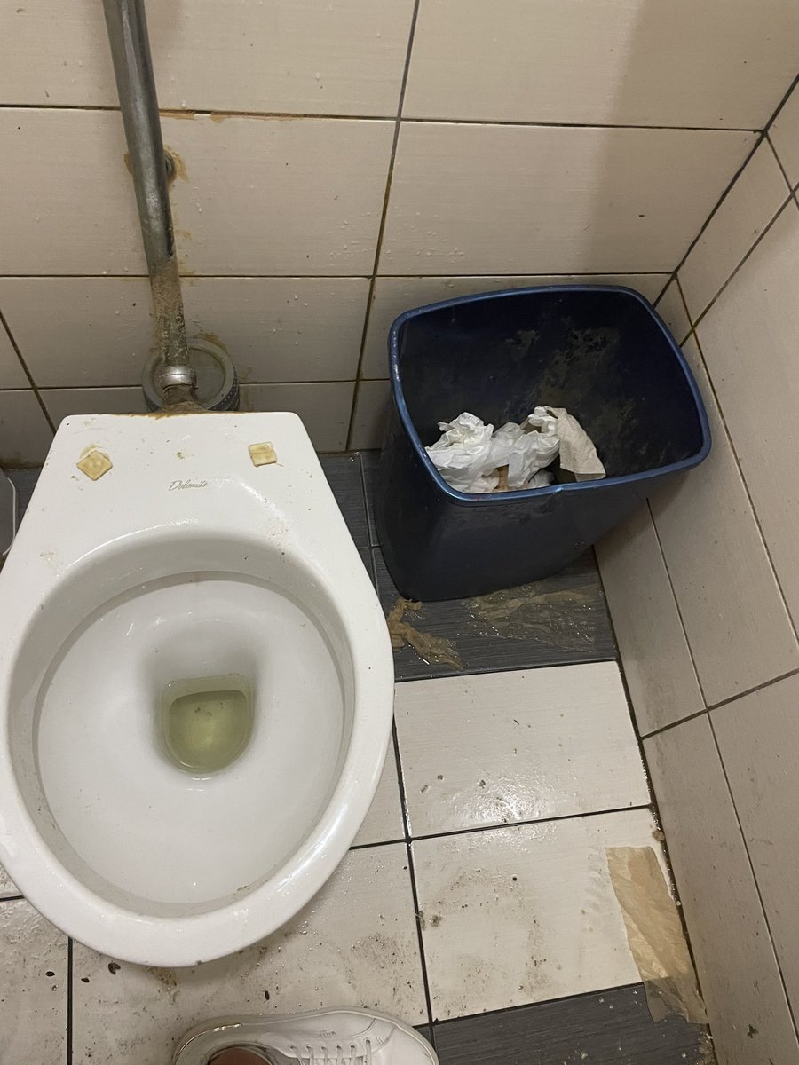 When you’ve got to go you’ve got to go #trainspotting #dirtyLaganas #rescueclublaganas what’s up with these young ones 🤮🤢💩😂😂😂