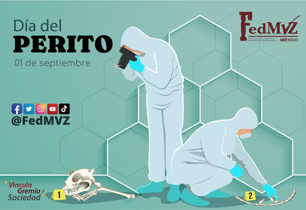 FedMVZ's tweet photo. ¿#SabíasQue el 01 de septiembre se conmemora el #DíaDelPerito en México?

Queremos Reconocer la labor de las y los Médicos Veterinarios Zootecnistas que se desempeñan en esta increíble disciplina, especialmente a quienes se han formado en nuestro Diplomado: Perito en Medicina Veterinaria y Zootecnia.

¡Felicidades!