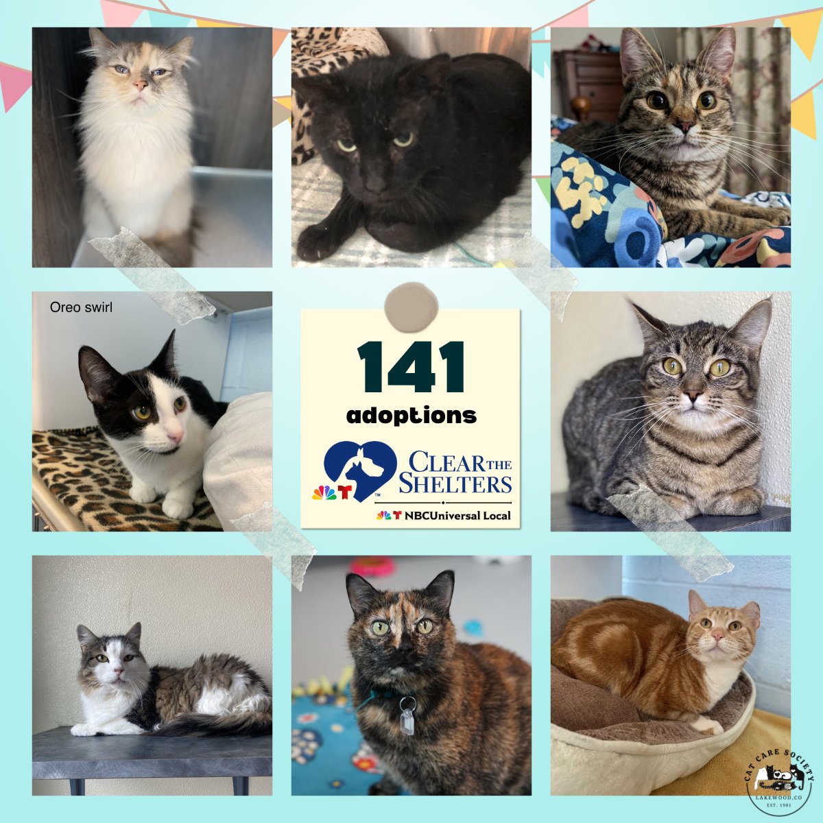 WOW, once again. We closed out August with 141 cats finding new loving homes. THANK YOU to each individual who opened their home to a new friend. We are so happy that our community of cat lovers helped us have an amazing #cleartheshelters month 😻 @ClearTheShelter