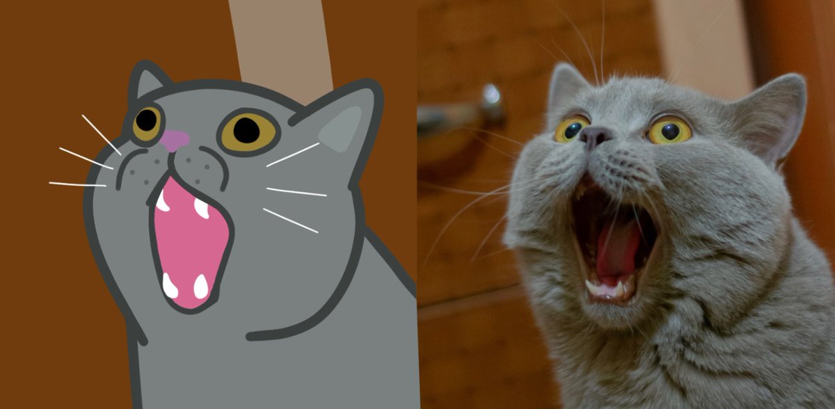 Allies_leafx's tweet photo. The cat:😧 #funnycat #cat #redrawcat #redraw #drawing https://t.co/s3c9j7syYd