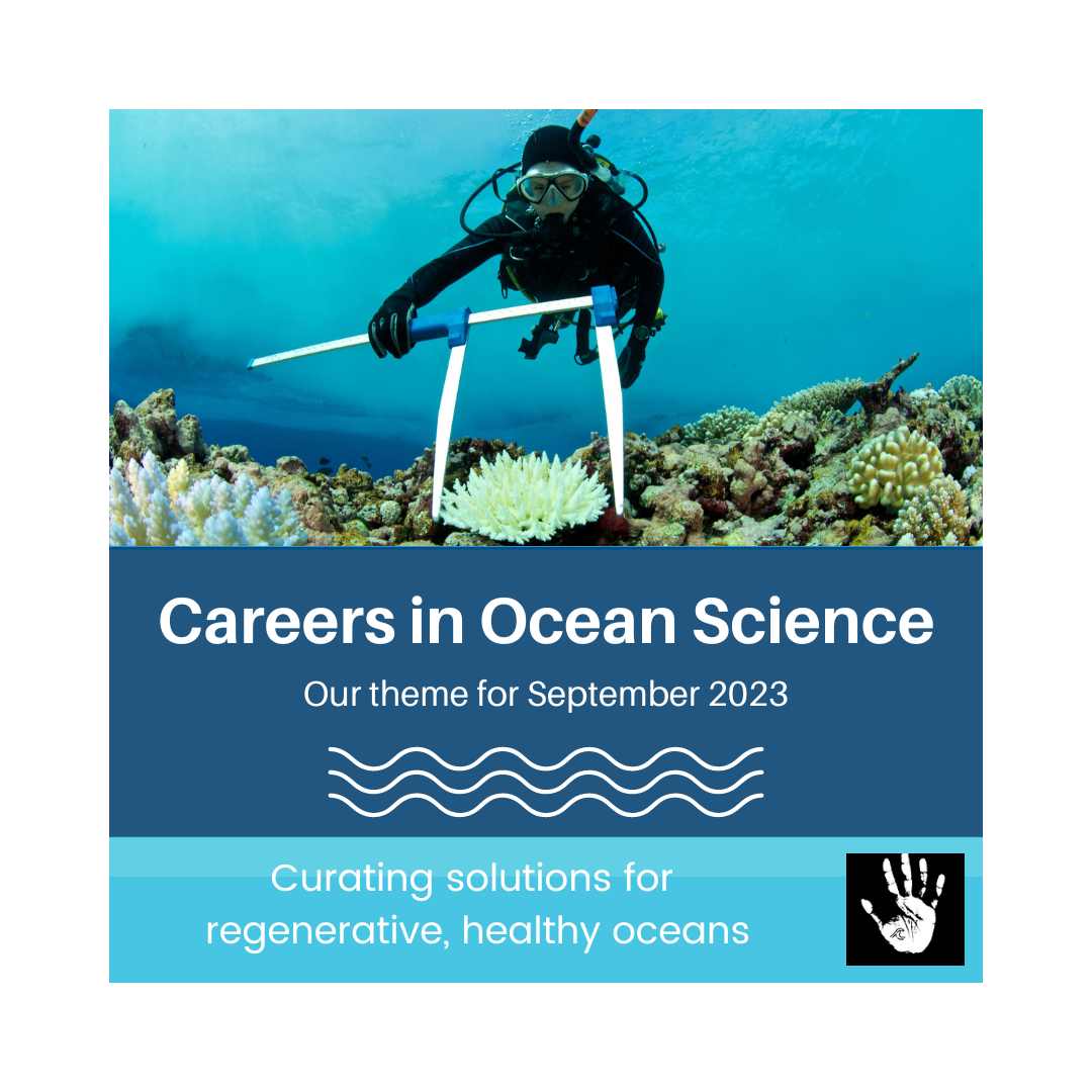Introducing the theme for this month at the Salty Hands: Careers in ocean science and marine conservation! If you have anything to suggest, let us know! #oceanscience #oceandata #TheSaltyHands
