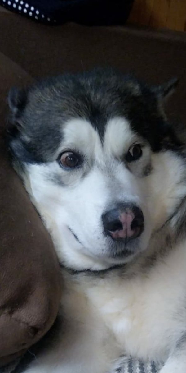 Пятницы,друзья)..Я возможно забыл представить,этого парня зовут ТЭО))и в этом сезоне,когда играют заклятые,он постоянно крутит башней,при упоминании бан чего то там ги)