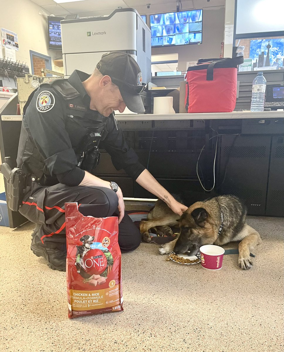 Today our #mentalhealth crisis officer came to the aid of this fella when his owner was arrested for animal cruelty.  PC Kinghorn bought him some food and he is on his 3rd plate! <a href="/TorontoPolice/">Toronto Police</a> <a href="/TPSGregCole/">Greg Cole</a> <a href="/TDotsRicky/">Ricardo Araujo</a> <a href="/TPS_CPEU/">Community Partnerships & Engagement Unit (CPEU)</a> <a href="/TPACampbell/">Clayton Campbell</a> <a href="/tpsJohnson/">Deputy Chief Rob Johnson TPS</a>